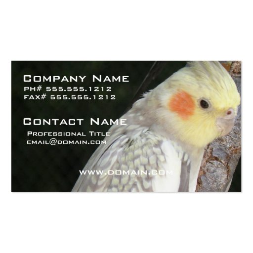 African Grey Parrot Business Card