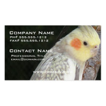 African Grey Parrot Business Card
