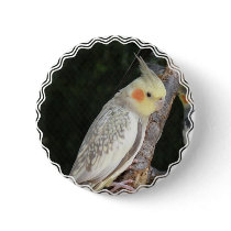 African Grey Parrot Button