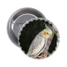 African Grey Parrot Button