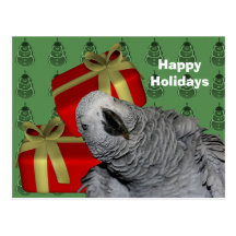 African Grey Parrot Christmas Holiday Postcard