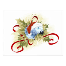 African Grey Parrot Christmas Postcards