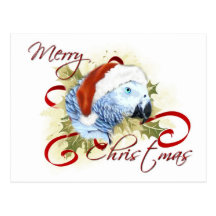 African Grey Parrot Christmas Postcards
