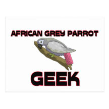 African Grey Parrot Geek Postcards