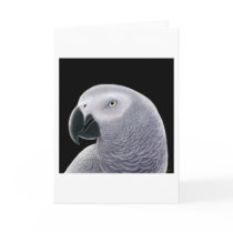 African Grey Parrot Greeting Card by twopurringcats African Grey Parrot Greeting Card