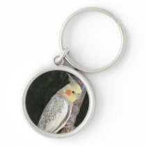 African Grey Parrot Keychain