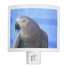 African Grey Parrot Night Lights