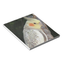 African Grey Parrot Notepad