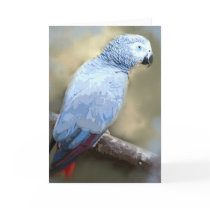 African Grey Parrot Portrait Cards by jaisjewels African Grey Parrot Portrait Cards