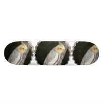 African Grey Parrot Skateboard