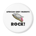 African Grey Parrots Rock Magnets