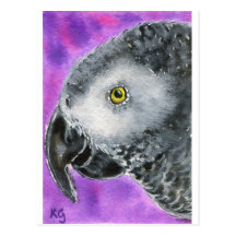African Grey Post Card