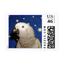 African Grey (Small) stamps