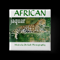 AFRICAN JAQUAR buttons