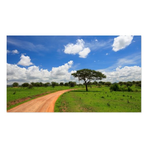 African landscape business card (front side)