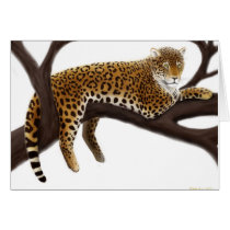 African Leopard Card