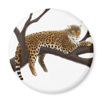 African Leopard Magnet by twopurringcats African Leopard Magnet