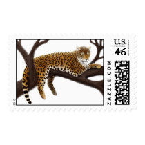 African Leopard Postage
