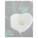 African lily at Mount Kenya, Safari Club  flowers Letterhead