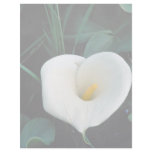 African lily at Mount Kenya, Safari Club Custom Letterhead