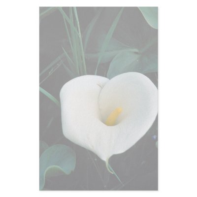 African lily at Mount Kenya, Safari Club Customized Stationery by beautifulclicks
