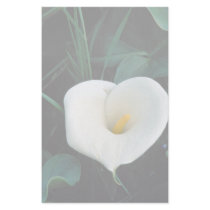 African lily at Mount Kenya, Safari Club Customized Stationery