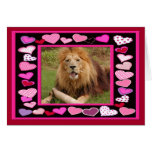african-lion-00037-65x45 greeting card