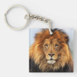 African Lion 1 Double-Sided Square Acrylic Keychain