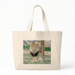 African Lion bags