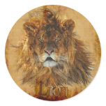 AFRICAN LION Big Five Big Cat Wildlife Stickers