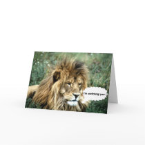African lion  Christmas card