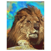African-Lion-Digital Art flyers by junglewalkcom African-Lion-Digital Art flyers