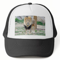 African Lion Trucker Hat