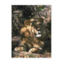 African Lion - Head Shot Of Very Big Male Post Card