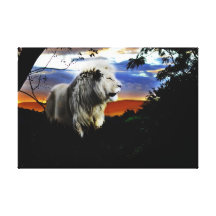 African lion in the jungle gallery wrapped canvas