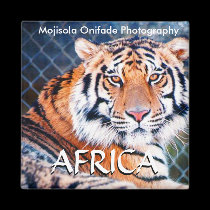 AFRICAN LION (Mojisola A Onifade) magnets