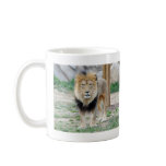 African Lion Mugs