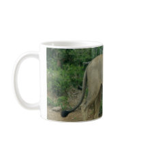 African Lion mugs
