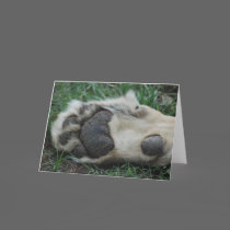 "African Lion Paw" Greeting Card cards