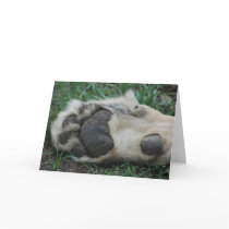 "African Lion Paw" Greeting Card