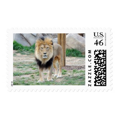 African Lion Postage Stamps by jkingiv