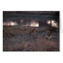 African Lion - Pride Resting By Waterhole Cards