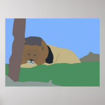 African Lion sleeping in grass poster