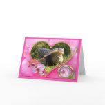 African Lion & White Tiger Playing Valentine Cards