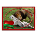 African Lion & White Tiger Playing Valentine Cards