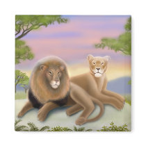 African Lions at Rest Magnet by twopurringcats African Lions at Rest Magnet
