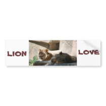 African Lions Bumper Stickers