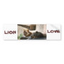 African Lions Bumper Stickers