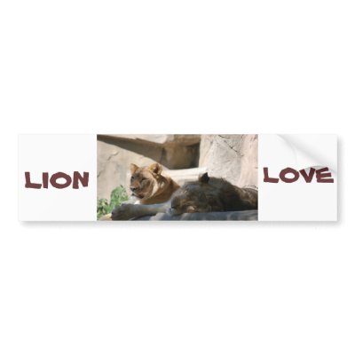 African Lions Bumper Stickers by Incatneato