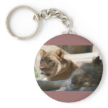 African Lions Key Chain